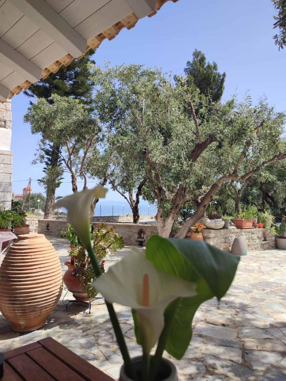 Ktima Zaxarias Hotel Kokkala Buitenkant foto